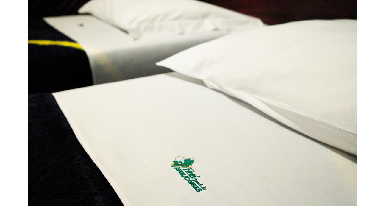 Hotel Pousada Das Araucarias Rio Negrinho Rom bilde